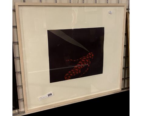 STEPHEN CHAMBERS LTD EDITION ETCHING WITH CHINE COLLE EDITION 20 - 50CM X 55CM