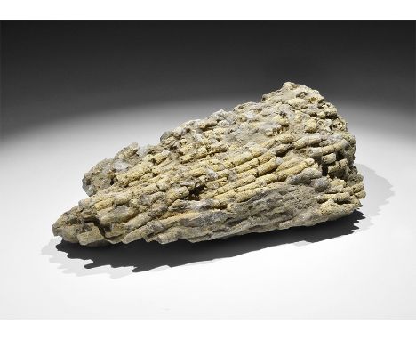 Ordovician to the Permian Period, 485-358 million years PB. A fossil of the Syringoporidae family of tabulate corals, which f