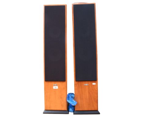 A pair of Acoustic Energy Aegis Evo 3 floor standing stereo Hi-Fi speakers, serial nos. A20600260 and A11000207, speaker heig