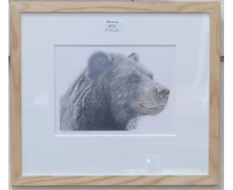 Colin John Chandler:  pencil portrait of a brown bear, signed, 7" x 9½", framed