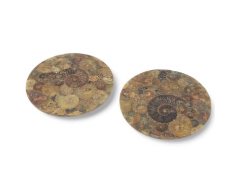 Pair of polished ammonite plate, formed of individual ammonites age; Jurassic period, D17cm