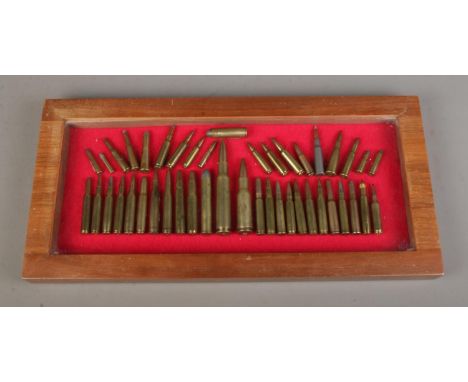 A cased ammunition display featuring varying types and calibers to include .500, 300 Magnum, Winchester, etc.  All the rounds