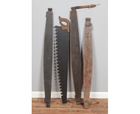 A collection of vintage saws mostly two man examples.  