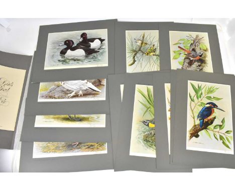 BASIL EDE; a collection of limited pencil signed and gallery stamped prints from the Game Birds Wildfowl collection, no.92/50