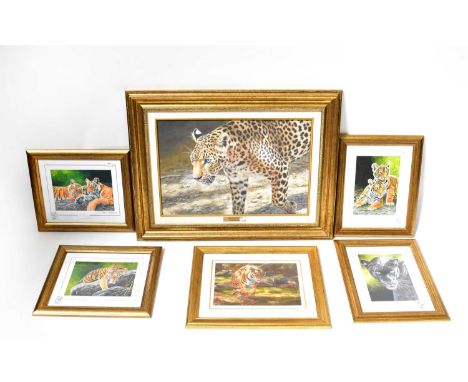 STEPHEN GAYFORD; six limited edition colour lithographic prints comprising 'Silent Footsteps', study of a leopard, signed, no