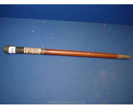 A wooden and ebony swagger stick having carved bone decoration and carved lion top.