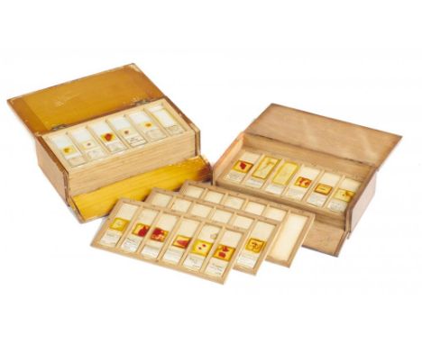 NINETY-FIVE MICROSCOPE SLIDES, EARLY 20TH C with handwritten labels, many dated 1909, in two varnished light wood boxes++A li