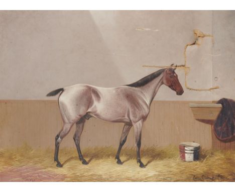 COLIN GRAEME ROE (1858-1910) PORTRAIT OF A BAY ROAN STALLION IN A LOOSE BOX signed (Colin Graeme) and dated 98, with owner's 
