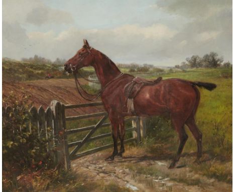ENGLISH SCHOOL, EARLY 20TH CENTURY  HUNTER AT A FIVE BAR GATE  oil on canvas, 55 x 85cm++In  good ready to hang condition, li