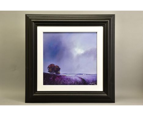 BARRY HILTON (BRITISH CONTEMPORARY) 'LAVENDER SKIES' an artist proof print of a landscape 11/20, signed bottom right with cer
