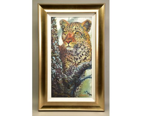ROLF HARRIS (AUSTRALIAN 1930) 'ALERT FOR PREY' a limited edition print of a leopard, signed bottom left with certificate 22/1