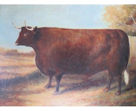 J. WHITHSON (XX). Primitive study of a bull, signed lower right, oil on paper over a print base, framed, 21 x 29 cm