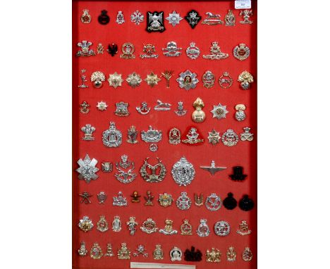 Display case of replica Cap Badges of The Regiments &amp; Corps of The British Army 1983, 1973 bugle, framed picture.