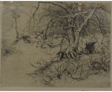 After Sir William Nicholson (1872-1949) 'Rowing' Colour lithograph 22cm x 22cm; Raymond Teague Cowern (1913-1986) Winter tree