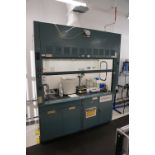THERMOSCIENTIFIC HAMILTON SAFEAIR II LABORATORY FUME HOOD WITH CONTENTS TO INCLUDE: (2) 26”X35”