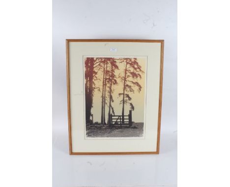 E.J. Wilson, "Gate", limited edition print, signed, titled and numbered 19/50, housed in a glazed light oak frame, the print 