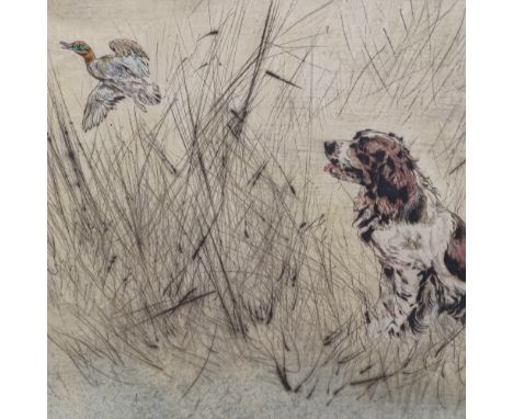 Henry Wilkinson (1921 - 2011), pair of coloured etchings, sporting dogs, signed in pencil, plate size 10" x 13.5", framedGood