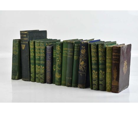 HULME (F), FAMILIAR WILD FLOWERS, five various volumes, colour plates and hand coloured green cloth covers, Cassell; SOWERBY 