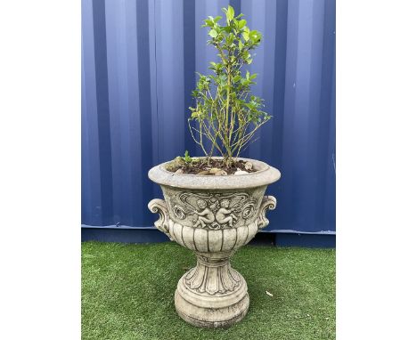 Stone effect campana shaped garden urn/planter, the body decorated in relief with cherubs and scrolls, planted Dimensions: He