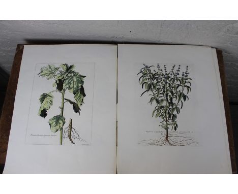 ***AWAY - CLIENT COLLECTED 27/10/18 SW*****After Nicolas (Robert), six 18th century copper plate engravings of botanical subj