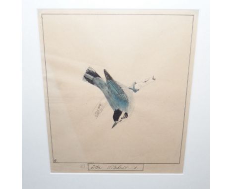 M F Sitta Witcheat, monogrammed, watercolour, 23 x 19cm and two engravings (3) Condition Report: Available upon request