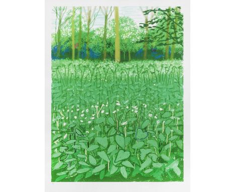 David Hockney R.A. (British, born 1937)The Arrival of Spring in Woldgate, East Yorkshire in 2011 (twenty eleven) - 6 May  iPa