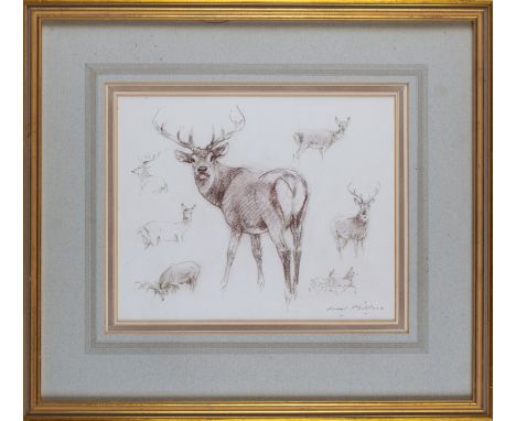 Raoul Millais (British, 1901-1999) A sketch of stags, signed lower right, 'Raoul Millais' and inscribed 'Sutherland' verso. W