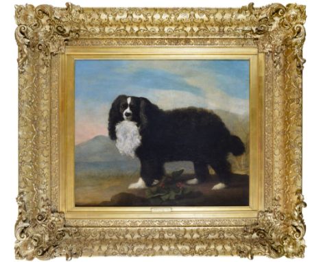 George Stubbs (1724-1806) A King Charles Spaniel in a landscape Oil on canvas Signed lower right With labels verso Provenance