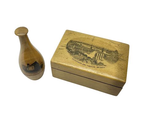 Mauchline ware box decorated with a view of 'Suspension and Tubular Bridges', and a bobbin case decorated with a view of 'St 