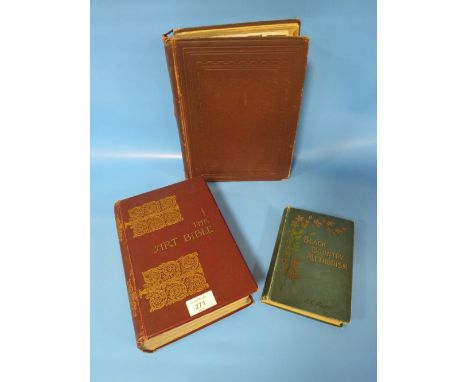THREE PUBLICATIONS CONSISTING OF BLACK COUNTRY METHEODISM, THE ART BIBLE AND A YOUNG BIBLE