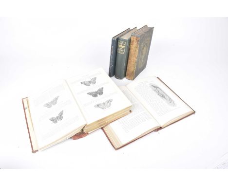 Newman - Edward "An illustrated natural history of British butterflies and moths"Numerous black and white illustrations, publ