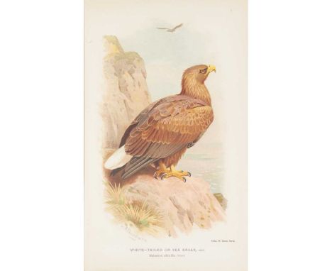 Lilford, Thomas Littleton Powys, 4th Baron Coloured Figures of the Birds of the British Islands London: R. H. Porter, 1885-18