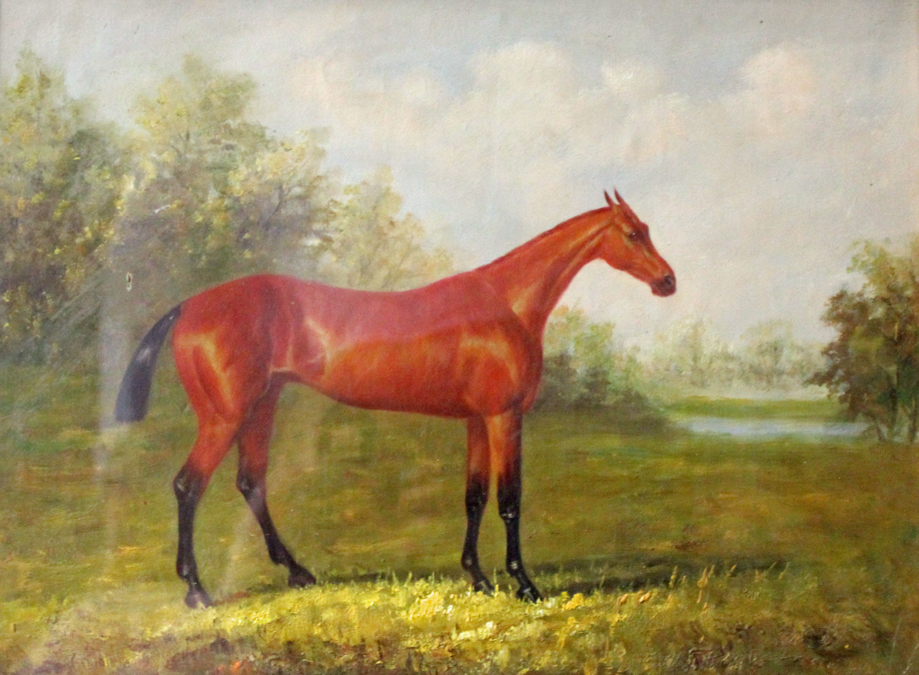 AN EBONISED FRAMED EQUINE OIL PAINTING Of a chestnut thoroughbred horse ...
