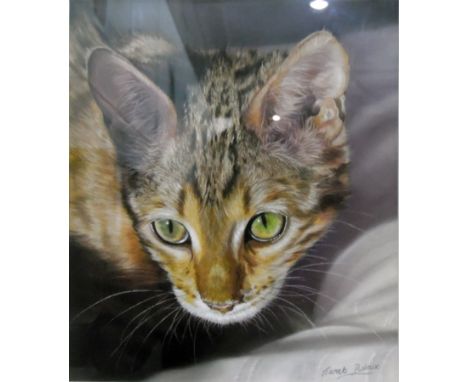 Framed printJanet PidouxPortrait of catFramed print of a peacock and other similar  etc. (8)