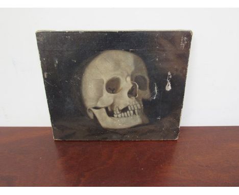 LILLIAN EDGAR: Skull oil on canvas, dents and tear present, 25cm x 30cm
