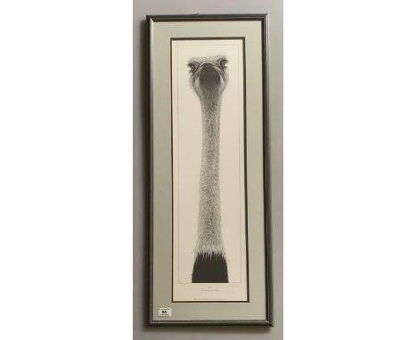 Print “Ostrich” by Gary Hodges. Signed limited edition 473/850. 28” x 8”, frame 33” x 13”. Good condition