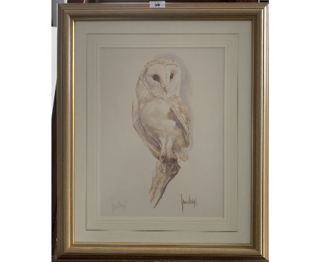 Print of barn owl by James Hodges. Signed in pencil by artist. 11” x 15”, frame 19.5” x 23.5”. Good condition