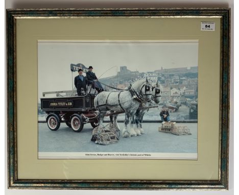 Print of Tetley’s “Shire Horses, Badger and Beaver, visit Yorkshire’s historic port of Whitby”. 15.5” x 11.5”, frame 21.5” x 