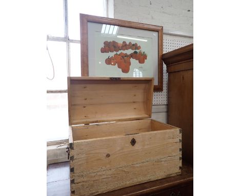 A PINE TRUNK WITH DOMED TOP AND IRON FITTINGS with a pumpkin watercolour