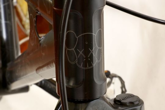 kaws bicycle