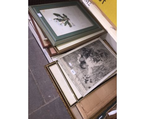 Numerous prints and pictures 