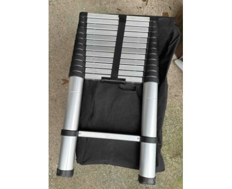 A Prodec 'Click n Climb' extending ladder in carry bag