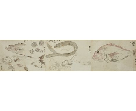   Unidentifizierter Maler. 19. Jh.  Querrolle mit verschiedenen Darstellungen: fünf Skizzen von Fischen nach der Natur, Felse