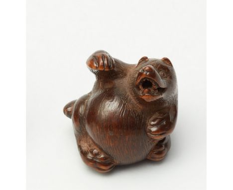   Tanuki hara tsutsumi. Buchsbaum. Tsu. Frühes 19. Jh.  Bez.: KokeiSitzend und mit der rechten Pfote, auf seinen Bauch bzw. a
