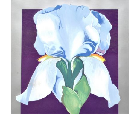 UNATTRIBUTED; a signed limited edition lithograph, Iris, indistinctly signed dated 1981 lower right, 12/20 lower left, also i