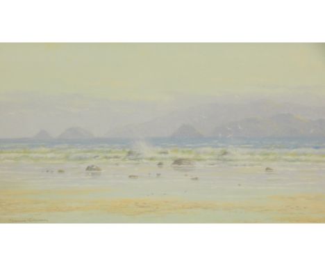 Martin Spencer Coleman (b.1952).  Seascape, oil, signed, 23cm x 42cm