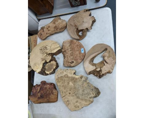 A group of tree trunk section cutsLocation: A1FIf there is no condition report shown, please request