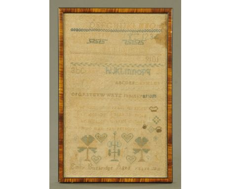A 19th century sampler by Emily Busbridge, alphabet, numbers and birds.  29.5 cm x 19 cm in simulated rosewood frame.