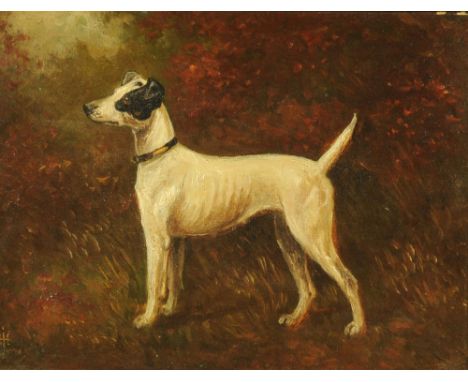 Herbert St John Jones (fl 1890-1920), oil painting, portrait of a smooth haired Jack Russell Terrier. Canvas 22 x 27 cm, mono