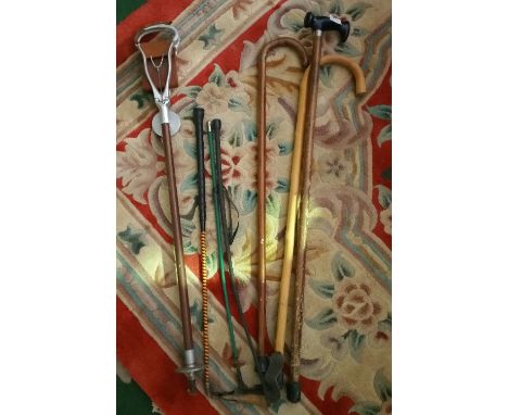 A Quantity of Walking Sticks; along with a shooting stick.